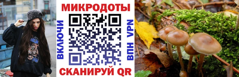 мега ссылка  Выкса  Галлюциногенные грибы прущие грибы 